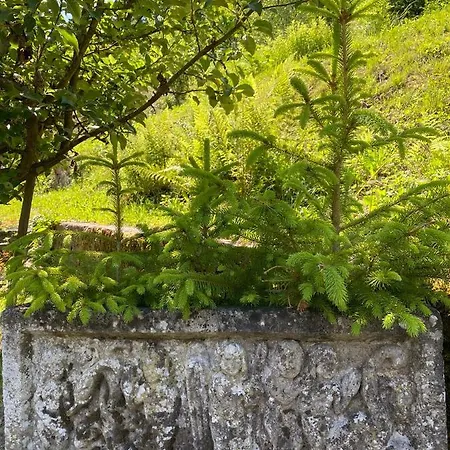 S-suite Design-ferienhaus Im Schwarzwald