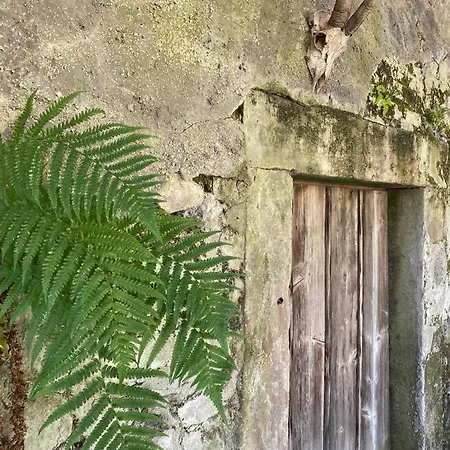 S-suite Design-ferienhaus Im Schwarzwald * Biberach (Baden)